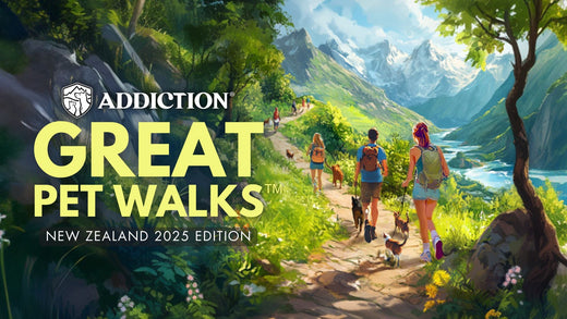 Explore the Joy of Pet-Friendly Walks with Addiction Pet Foods’ Great Pet Walks !