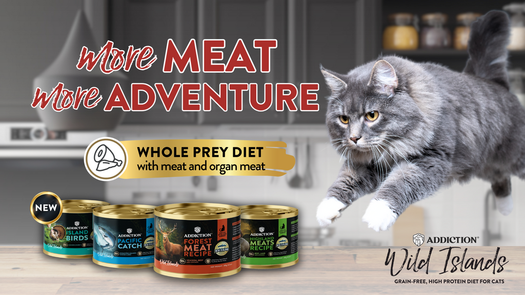More Meat, More Adventure: A New Way To Satisfy Your Cat's Innate Cravings