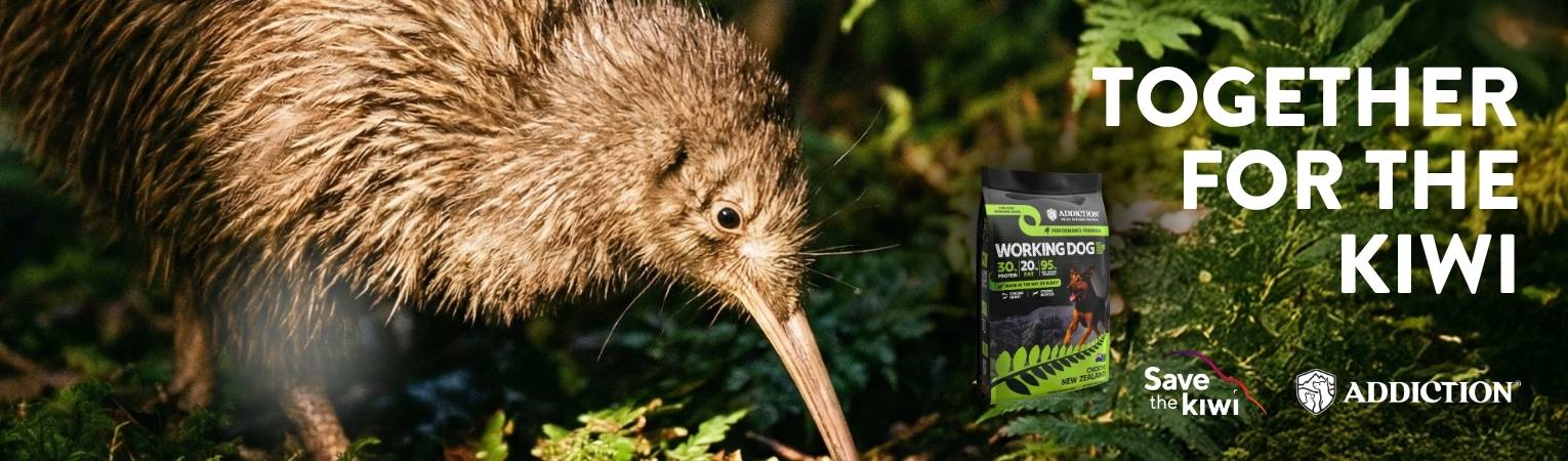 Our Partnership with Save the Kiwi: A Shared Commitment to Protecting New Zealand's Wildlife