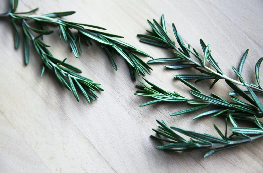 5 REMARKABLE BENEFITS OF ROSEMARY