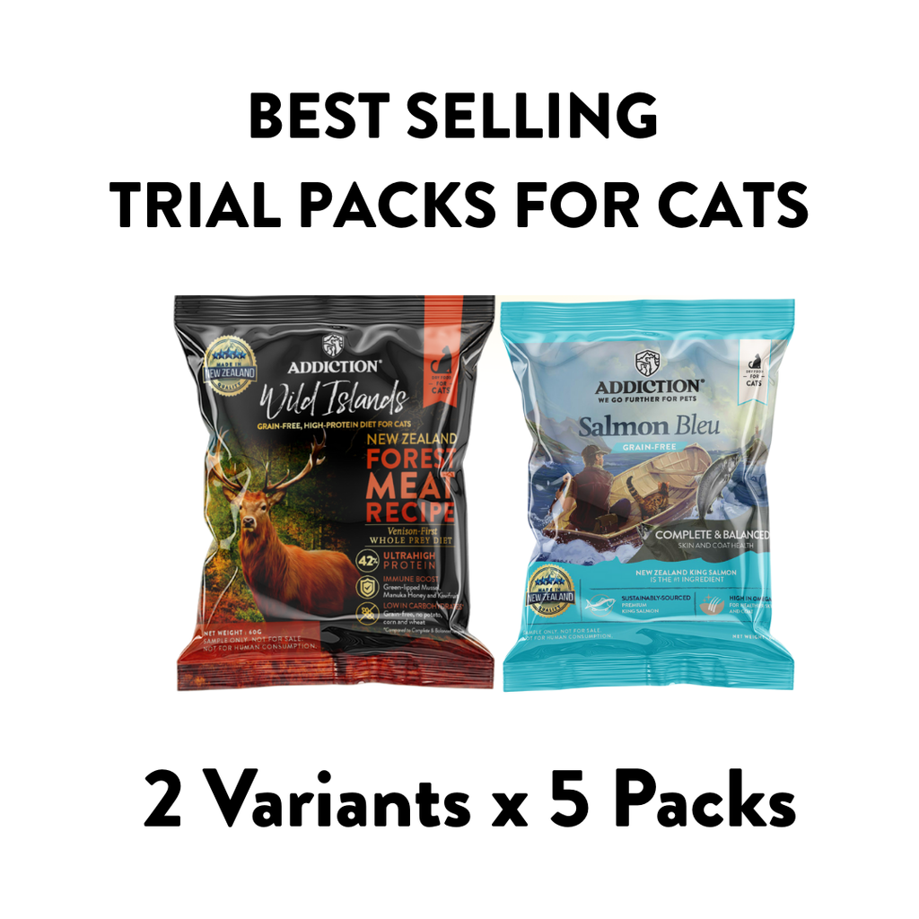 Cat Trial Packs: Best Selling Dry Food [10 x 60g Packs]