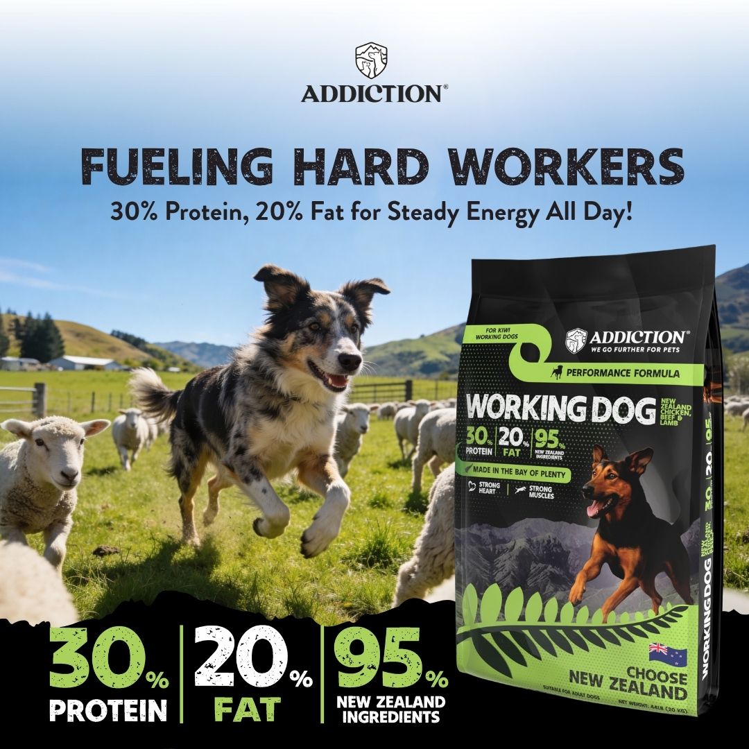 Working Dog Performance Formula 9kg