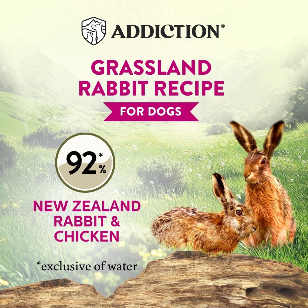 Wild Islands Grassland Rabbit Recipe Wet Dog Food 185g
