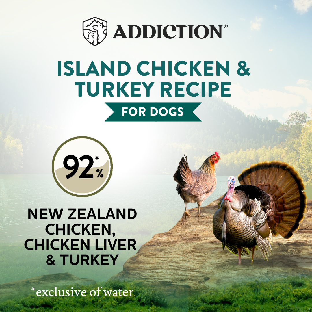 Wild Islands Chicken & Turkey Recipe Wet Dog Food 185g