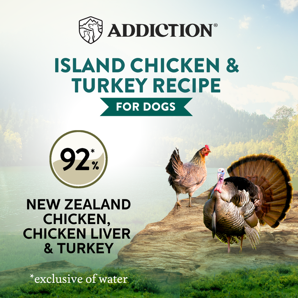 Wild Islands Chicken & Turkey Recipe Wet Dog Food 185g