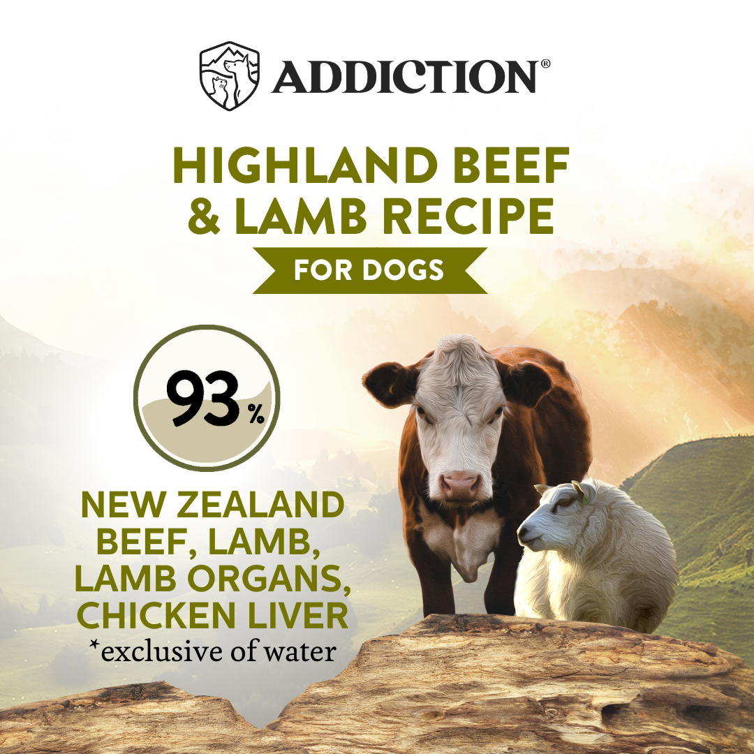 Wild Islands Highland Beef & Lamb Recipe Wet Dog Food 185g