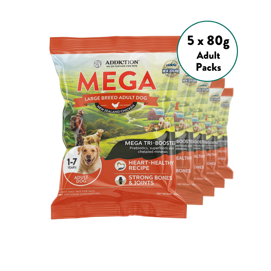 [Dog Trial Pack Bundle] Mega Chicken – Large Breed Adult Dry Food 80g