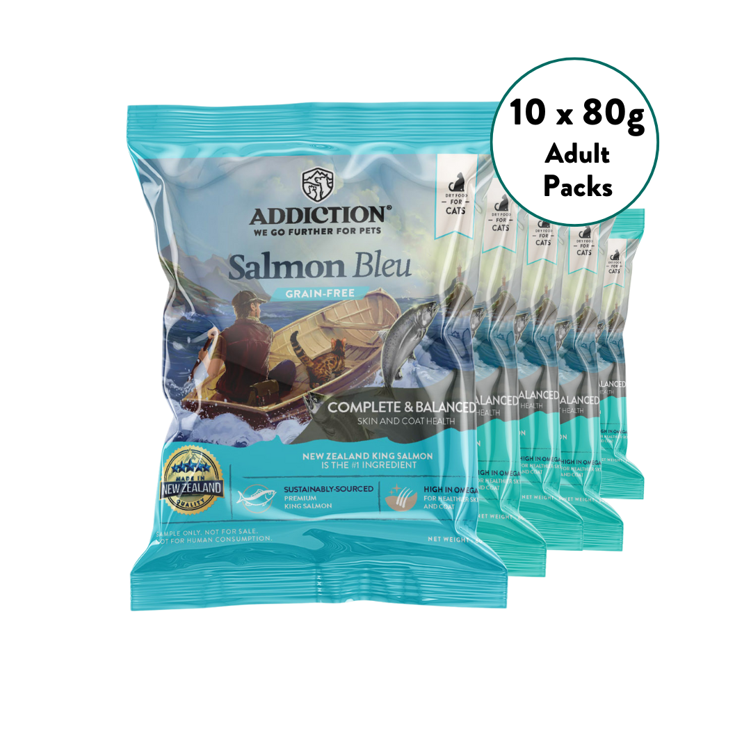 [Cat trial Pack Bundle] Salmon Bleu Dry Food 60g
