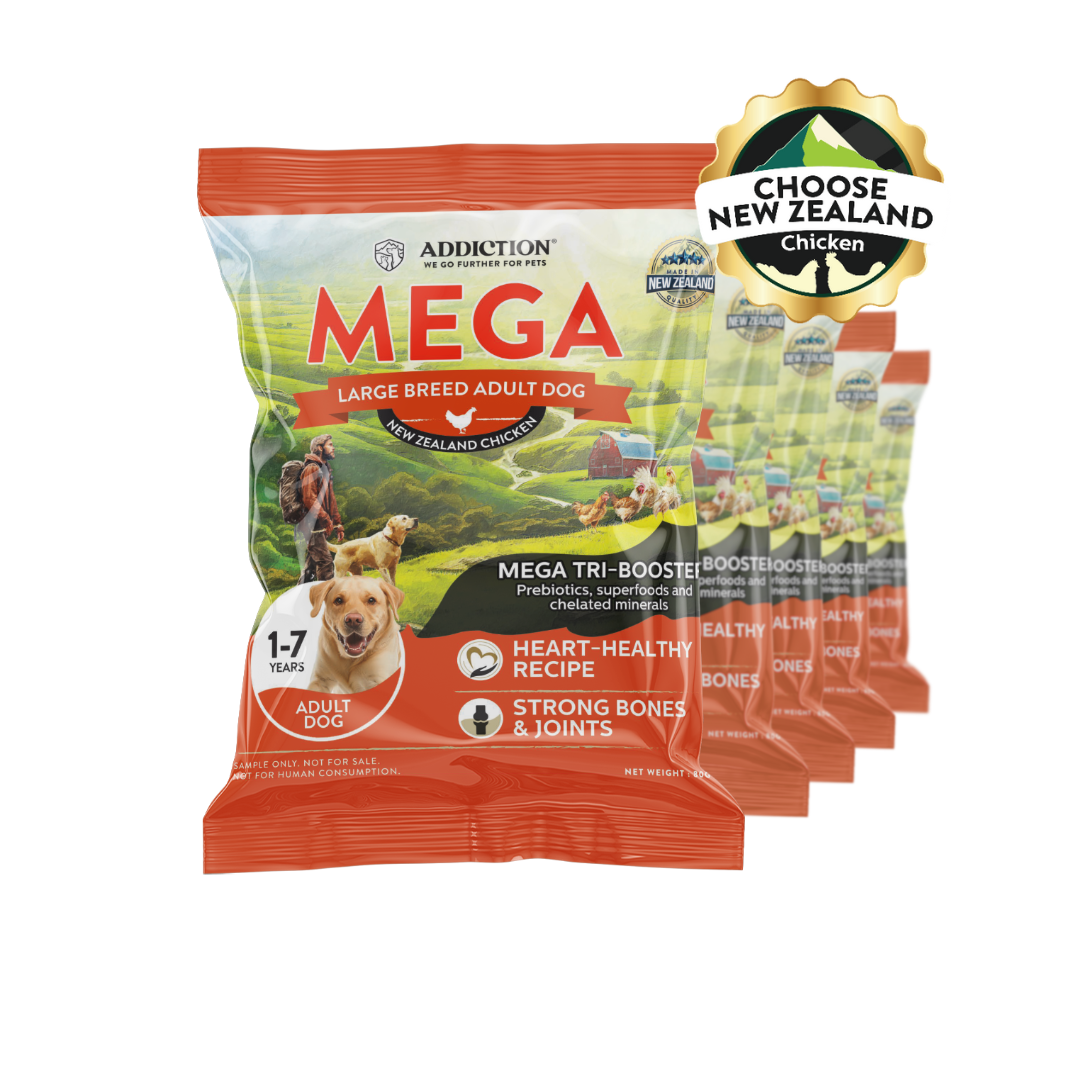 [Dog Trial Pack Bundle] Mega Chicken – Large Breed Adult Dry Food 80g
