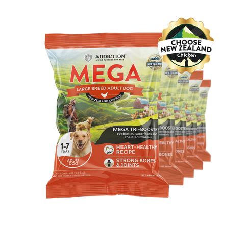 [Dog Trial Pack Bundle] Mega Chicken – Large Breed Adult Dry Food 80g