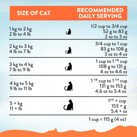Chicken Supreme Kitten Cat Dry Food
