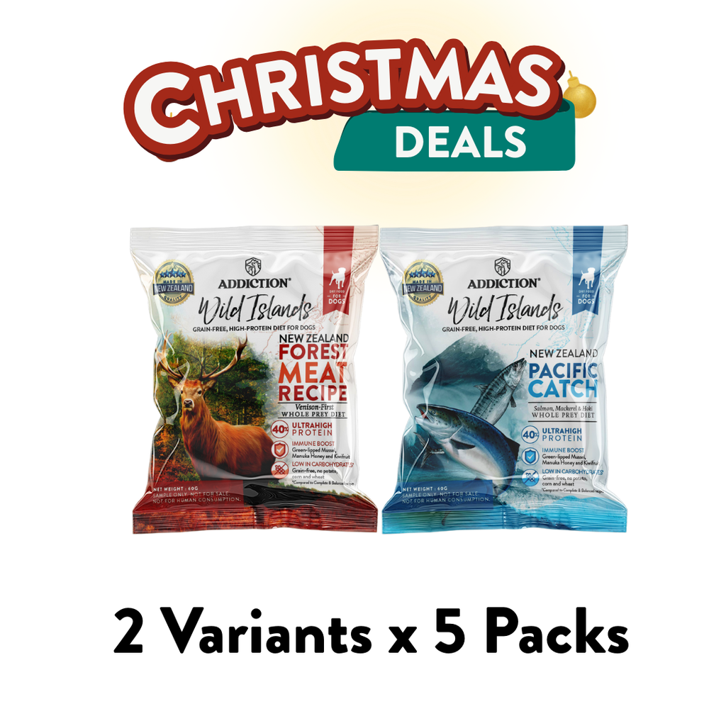 Christmas Dog Trial Pack: High Protein Dry Food [10 x 60g Packs]