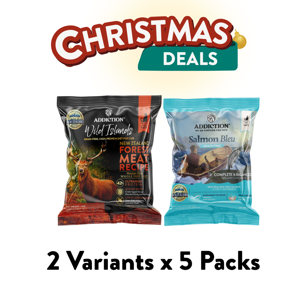 Christmas Cat Trial Pack: Best Selling Dry Food [10 x 60g Packs]
