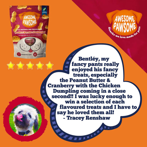 Awesome Pawsome All Natural Dog Treats Peanut Butter and Cranberry 85g