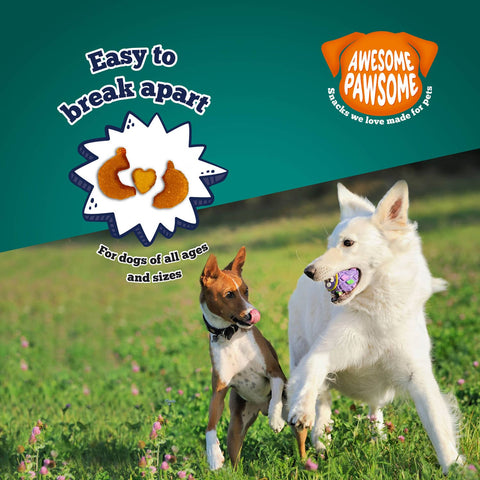 Awesome Pawsome All Natural Dog Treats Super Pumpkin 85g