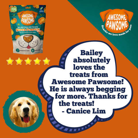 Awesome Pawsome All Natural Dog Treats Super Pumpkin 85g