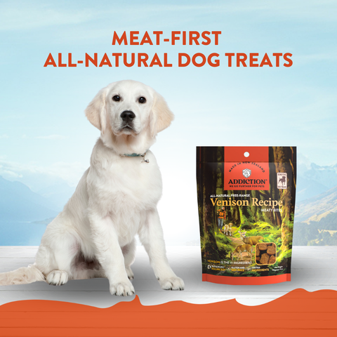 Addiction Venison Meaty Bites - Hypoallergenic Dog Treats 113g