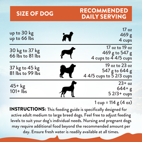 Mega Chicken Large Breed Adult Dry Dog Food 20kg