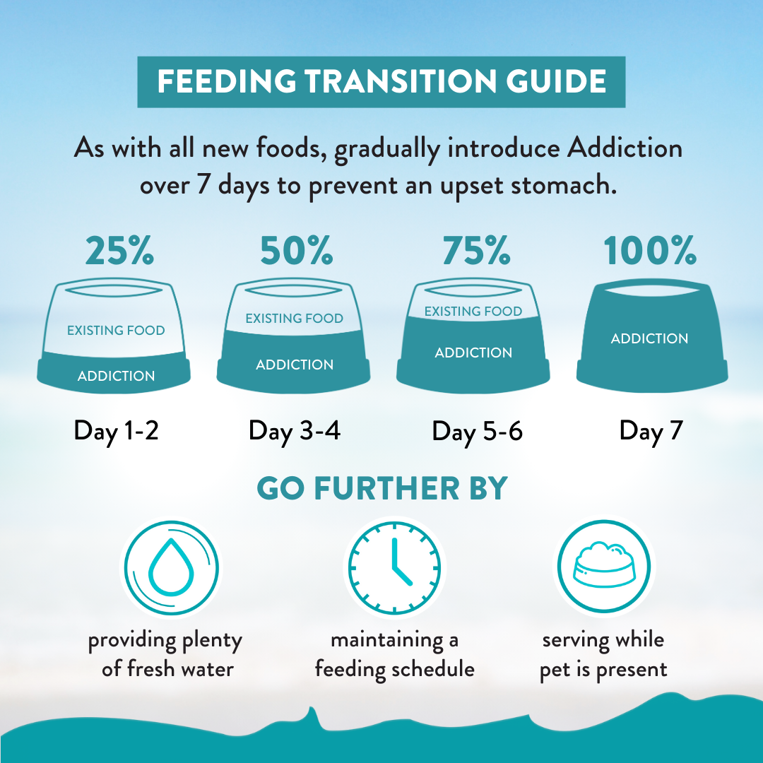 [Cat trial Pack Bundle] Salmon Bleu Dry Food 60g