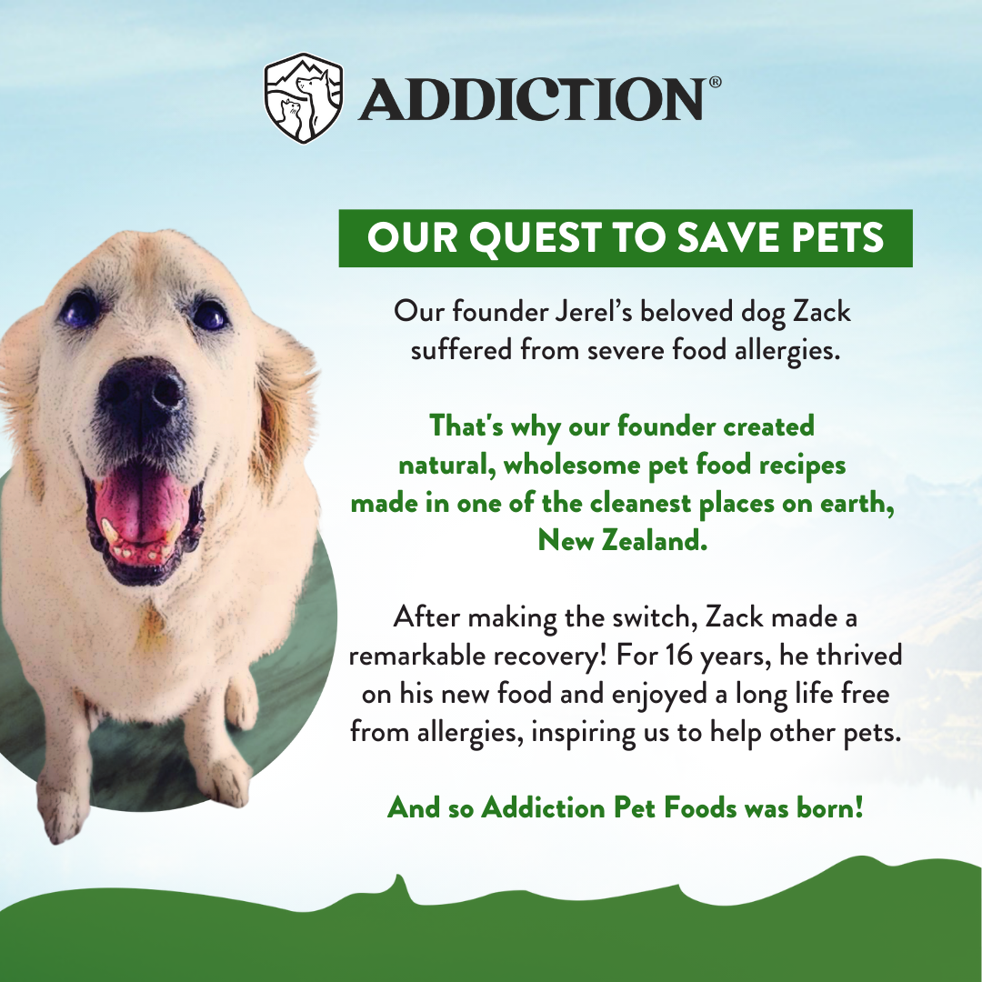 [Dog Trial Pack Bundle] Zen Vegetarian Dry Food 60g