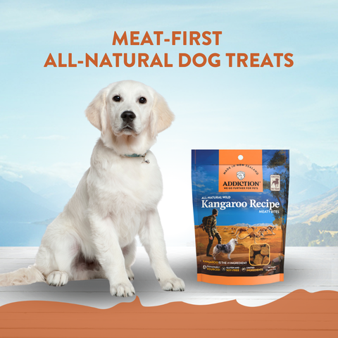 Addiction Kangaroo Meaty Bites - Hypoallergenic Dog Treats 113g