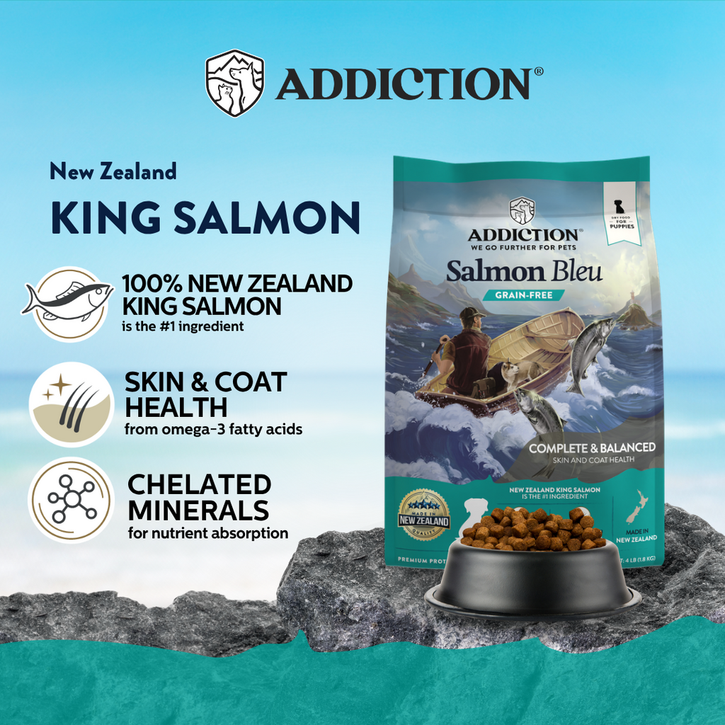 Salmon Bleu Puppy Dry Dog Food 9kg