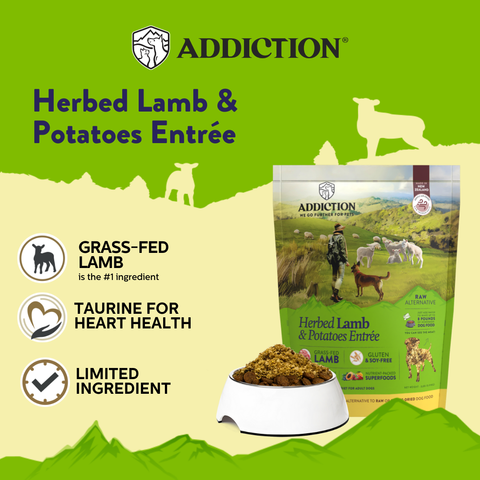 Addiction Herbed Lamb & Potatoes Raw Alternative Dog Food 910g