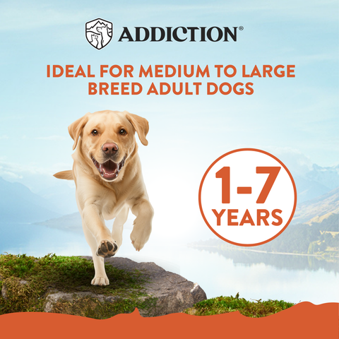 Mega Chicken Large Breed Adult Dry Dog Food 20kg