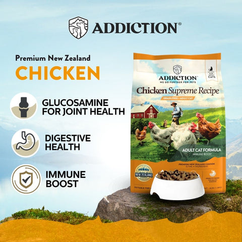 Chicken Supreme Recipe Adult Dry Cat Food - Trial Pack 60g