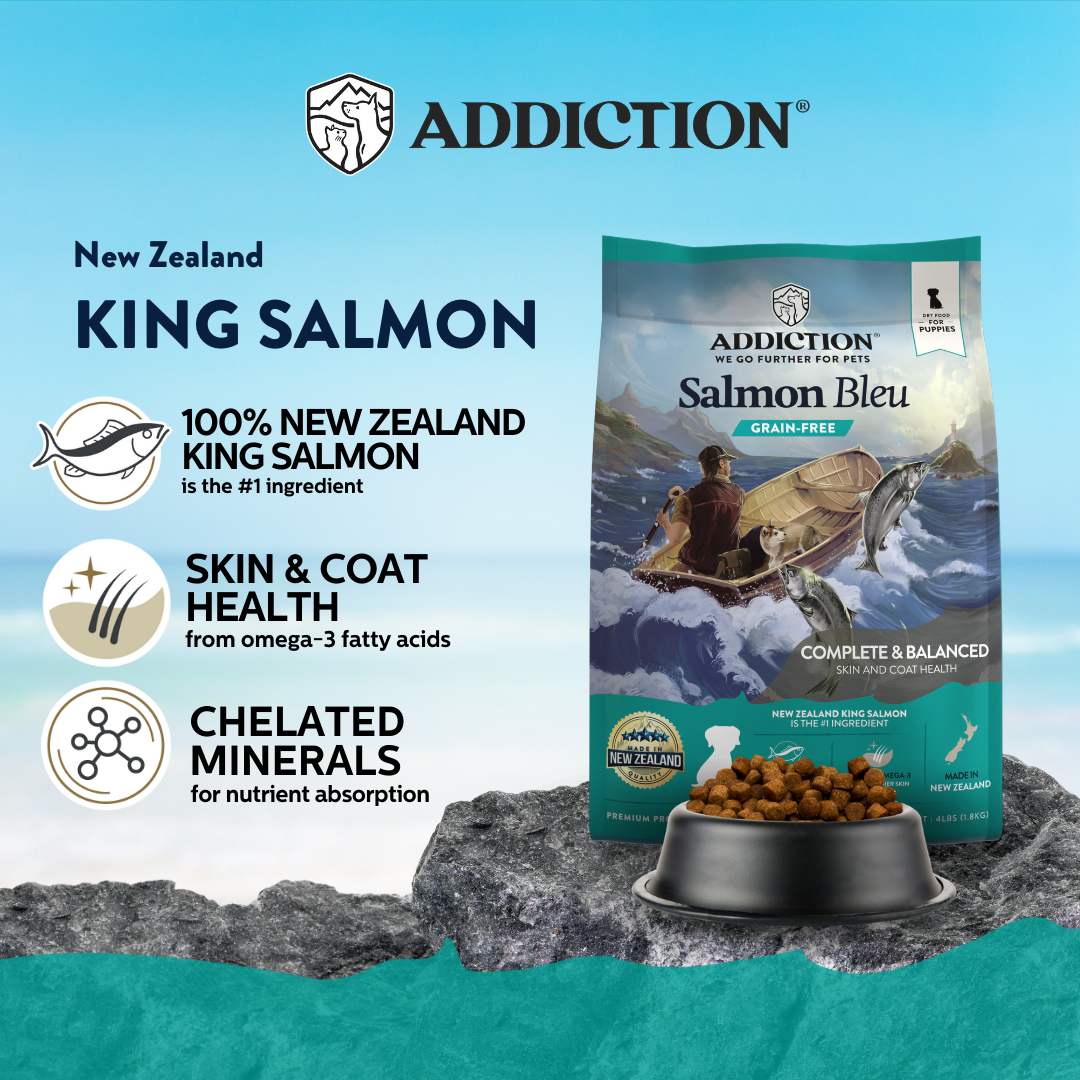 [Dog Trial Pack Bundle] Salmon Bleu Puppy Dry Food 60g