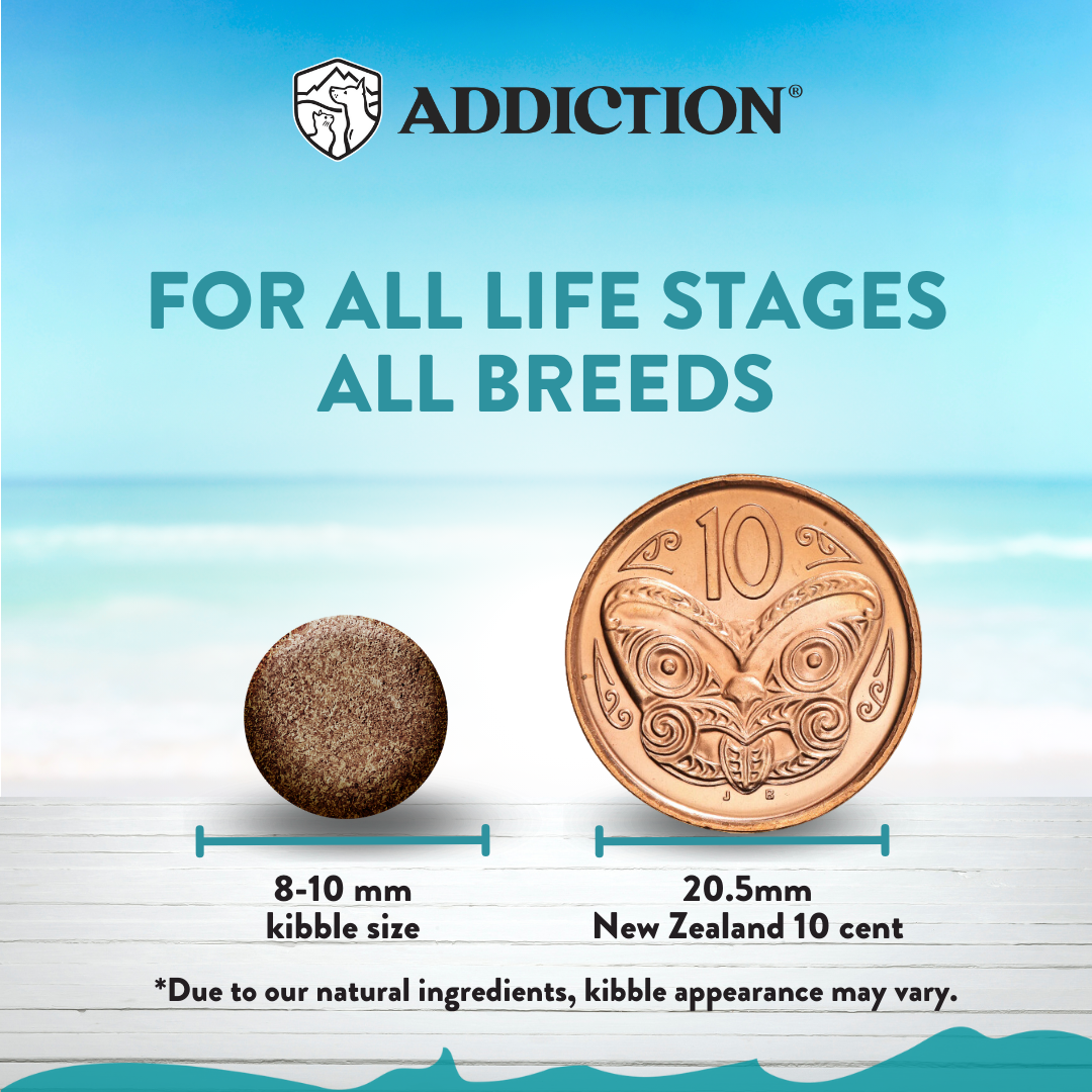 [Cat trial Pack Bundle] Salmon Bleu Dry Food 60g