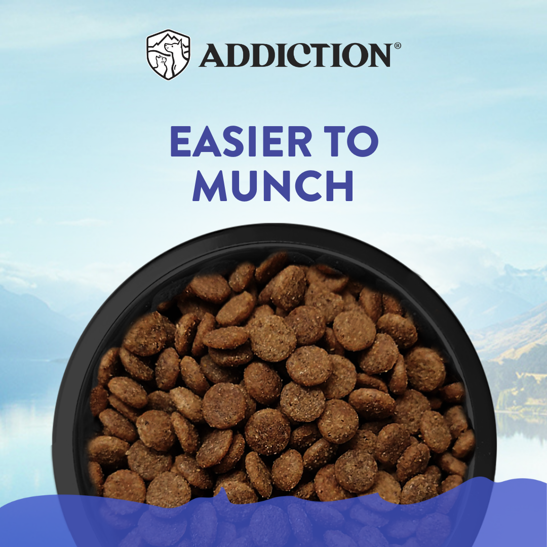 Duck Royale Entrée Small Breed Dry Dog Food