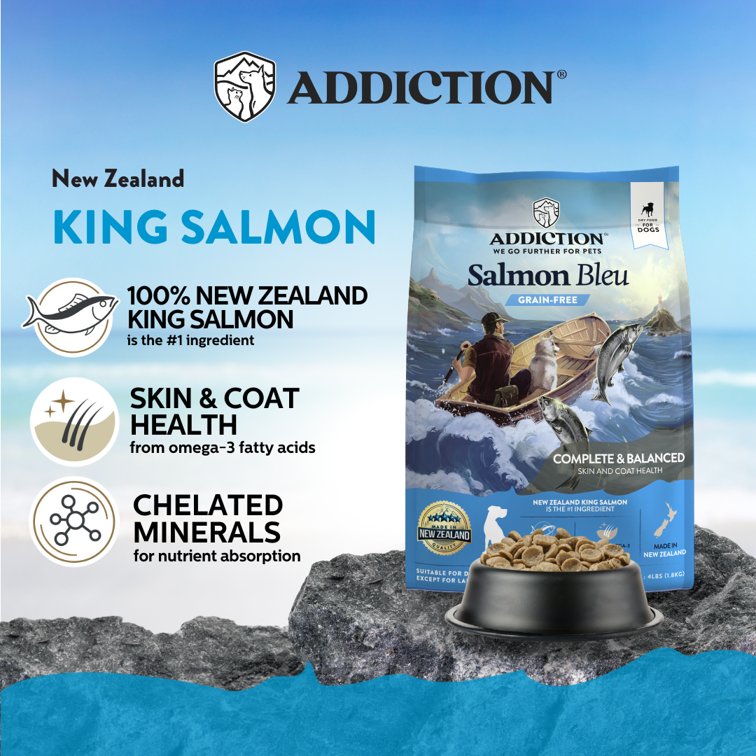 Salmon Bleu Dry Dog Food 9kg