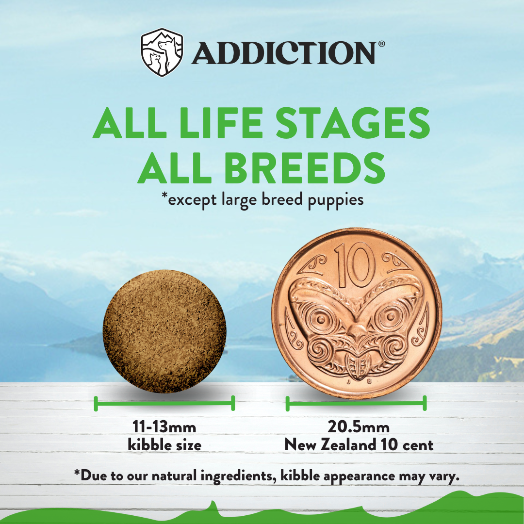[Dog Trial Pack Bundle] Le Lamb Dry Food 60g