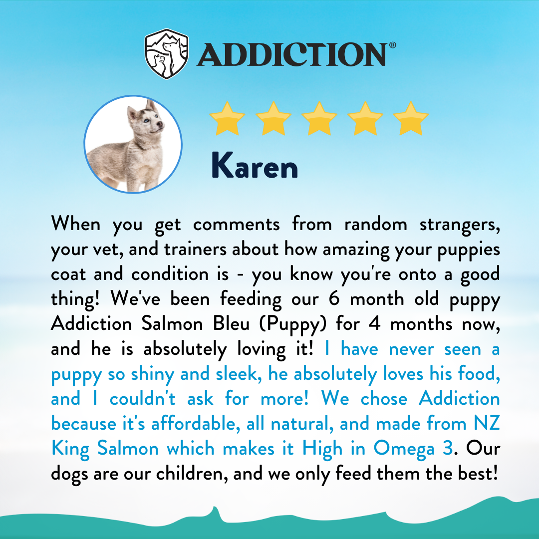 [Dog Trial Pack Bundle] Salmon Bleu Puppy Dry Food 60g