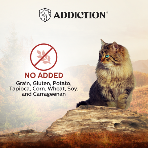 Wild Islands Forest Venison Wet Cat Food 85g