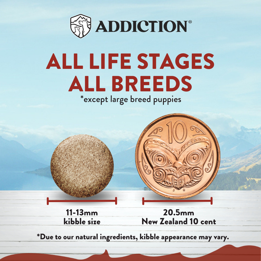 [Dog Trial Pack Bundle] Viva La Venison Dry Food 60g
