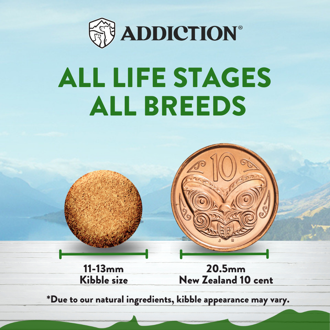 [Dog Trial Pack Bundle] Zen Vegetarian Dry Food 60g