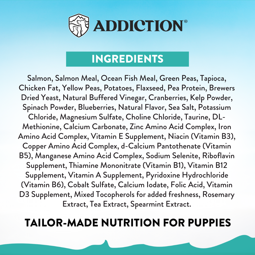 [Dog Trial Pack Bundle] Salmon Bleu Puppy Dry Food 60g