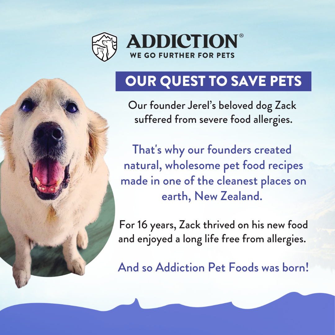 Duck Royale Entrée Small Breed Dry Dog Food