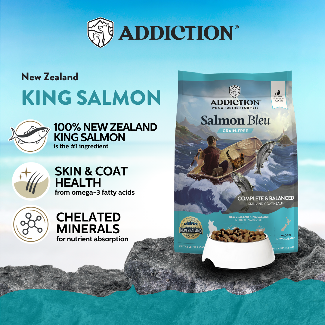 Salmon Bleu Dry Cat Food 1.8kg, 4.5kg
