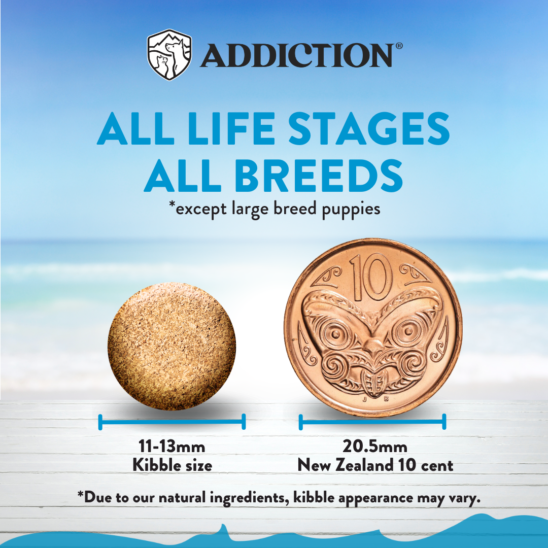 [Dog Trial Pack Bundle] Salmon Bleu Dry Food 60g