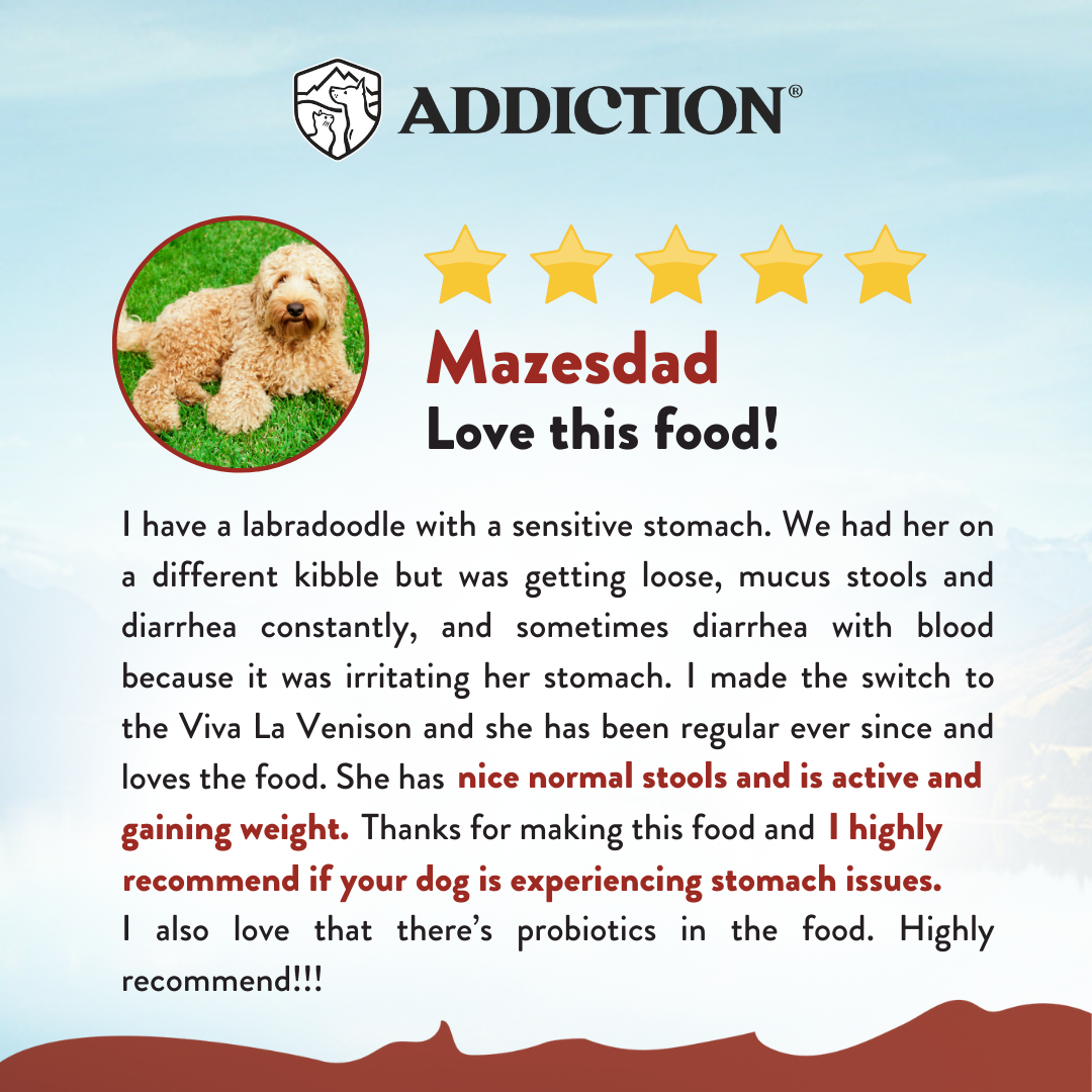 [Dog Trial Pack Bundle] Viva La Venison Dry Food 60g