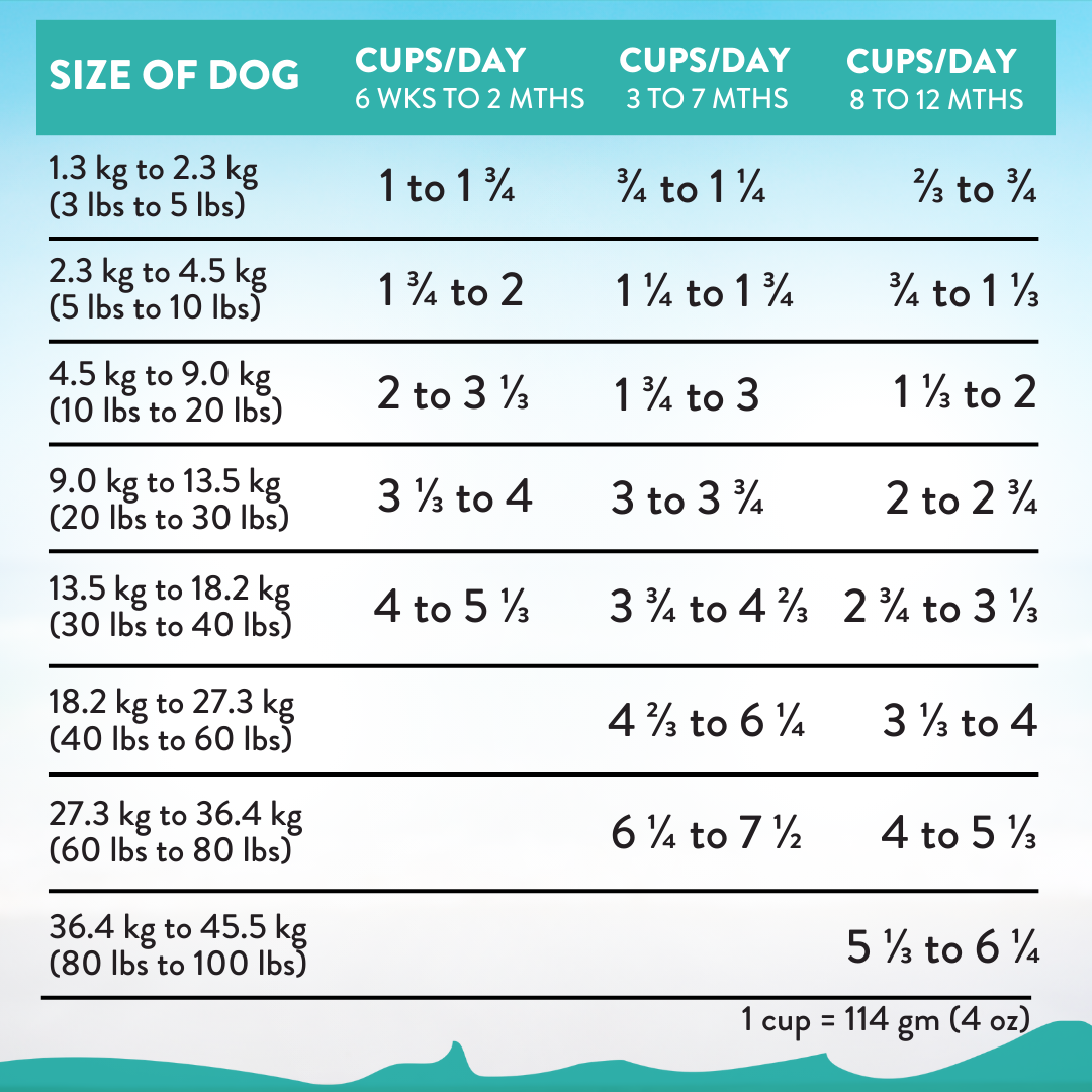 [Dog Trial Pack Bundle] Salmon Bleu Puppy Dry Food 60g