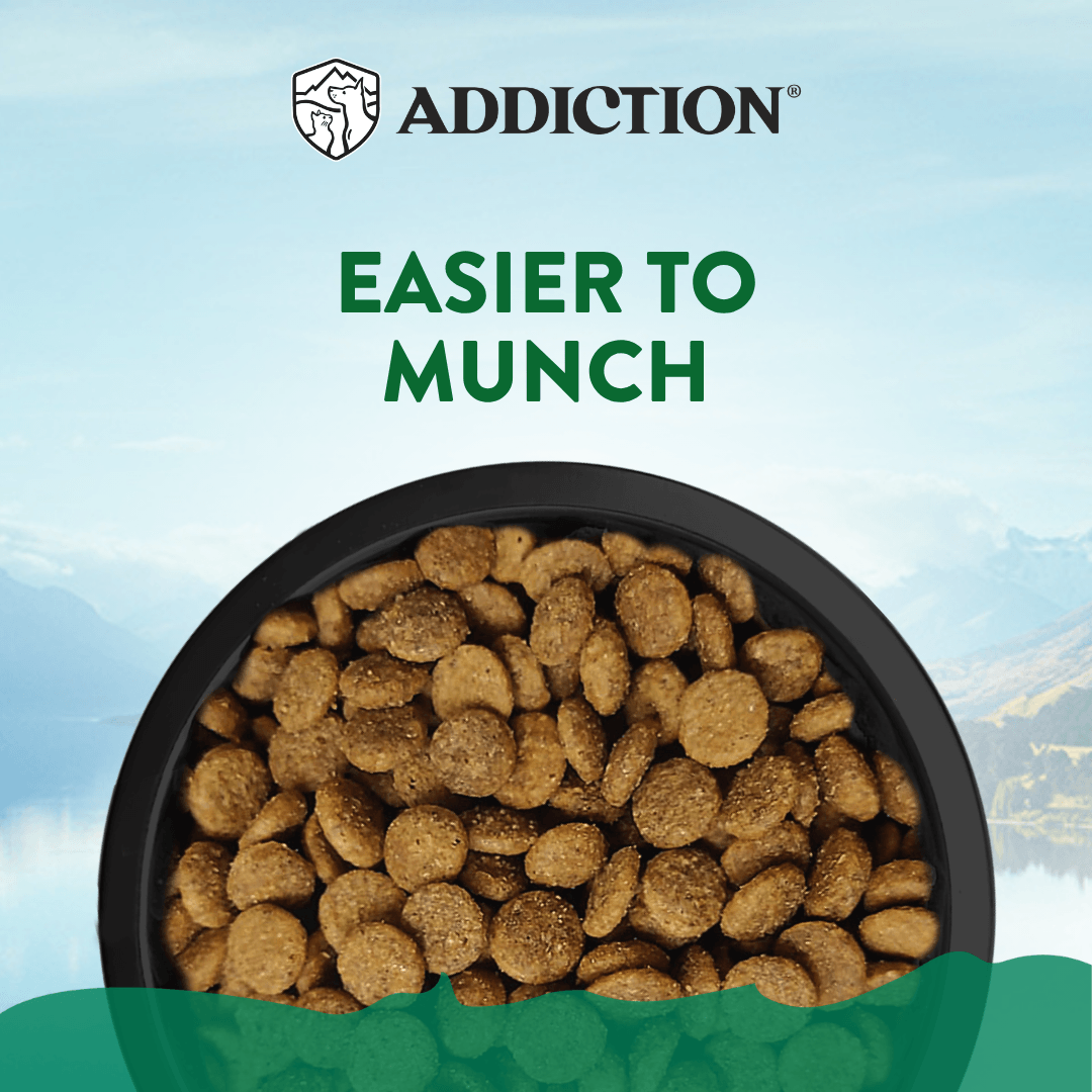 Le Lamb Small Breed Dry Dog Food 1.5kg