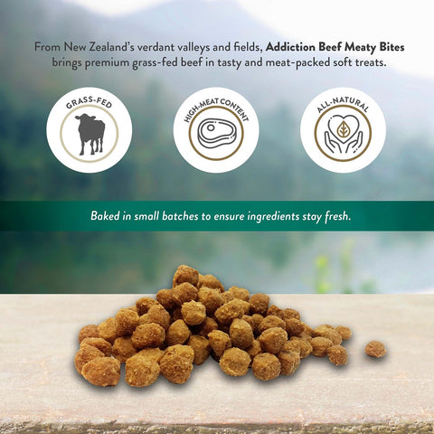 Beef Meaty Bites - Hypoallergenic Dog Treats