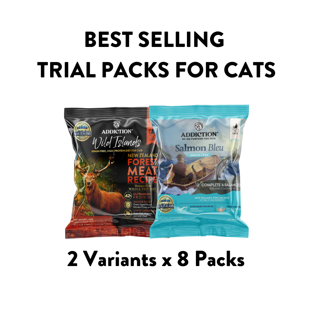 Cat Trial Packs: Best Selling Dry Food [16 x 60g Packs]