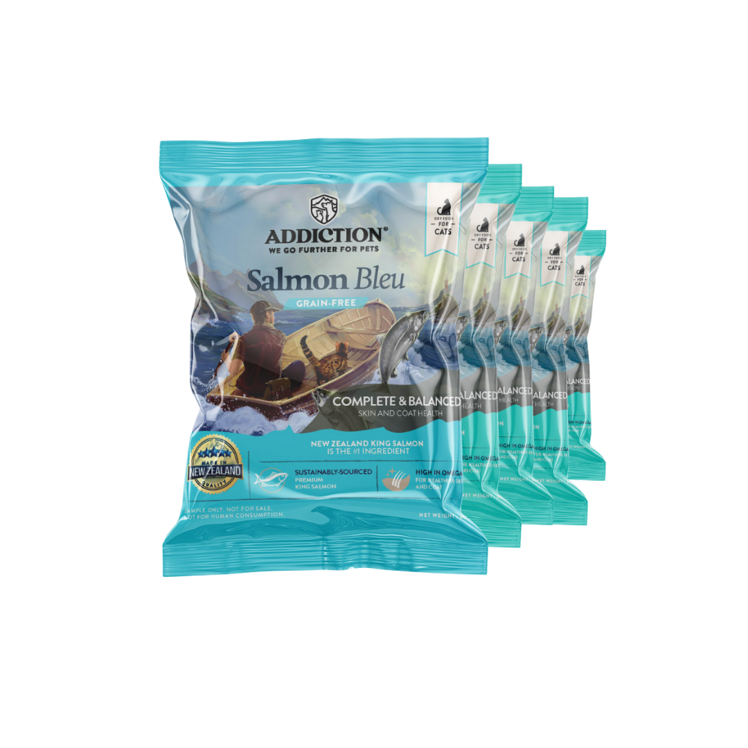 [Cat trial Pack Bundle] Salmon Bleu Dry Food 60g