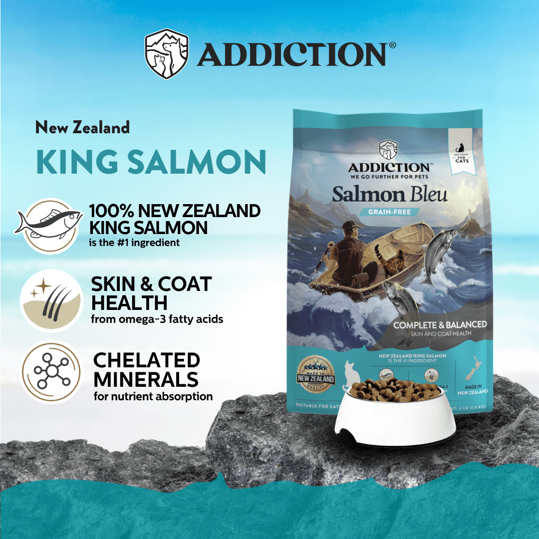 Salmon Bleu Dry Cat Food 1.8kg, 4.5kg