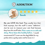 Salmon Bleu Dry Cat Food 1.8kg, 4.5kg